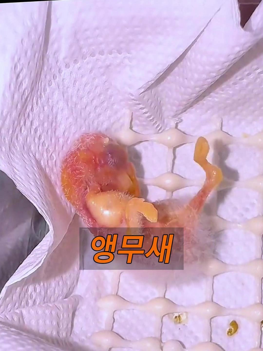 @삼촌Cut2025