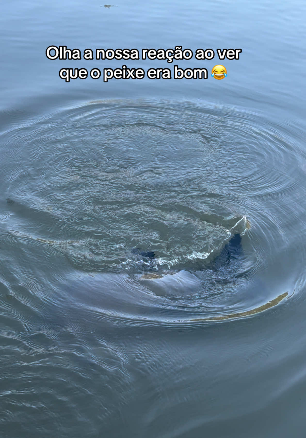 @Tayrones Alves