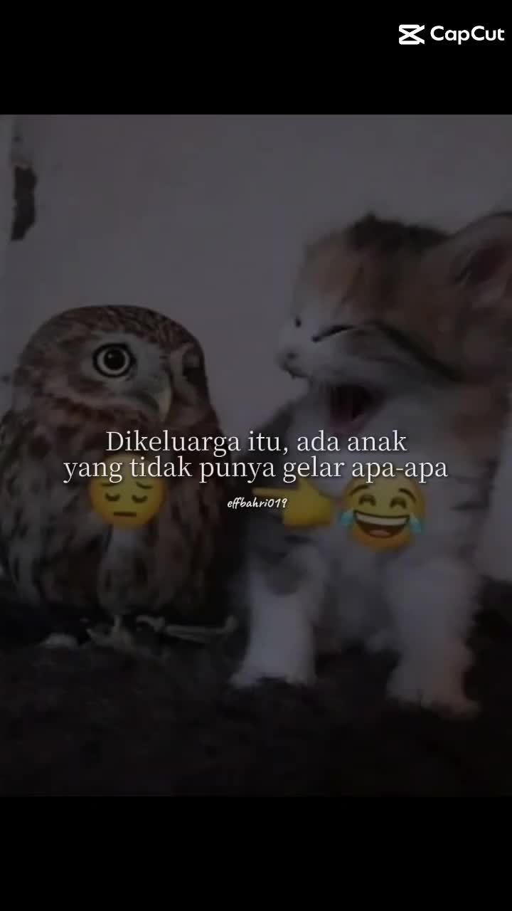 @hambaà