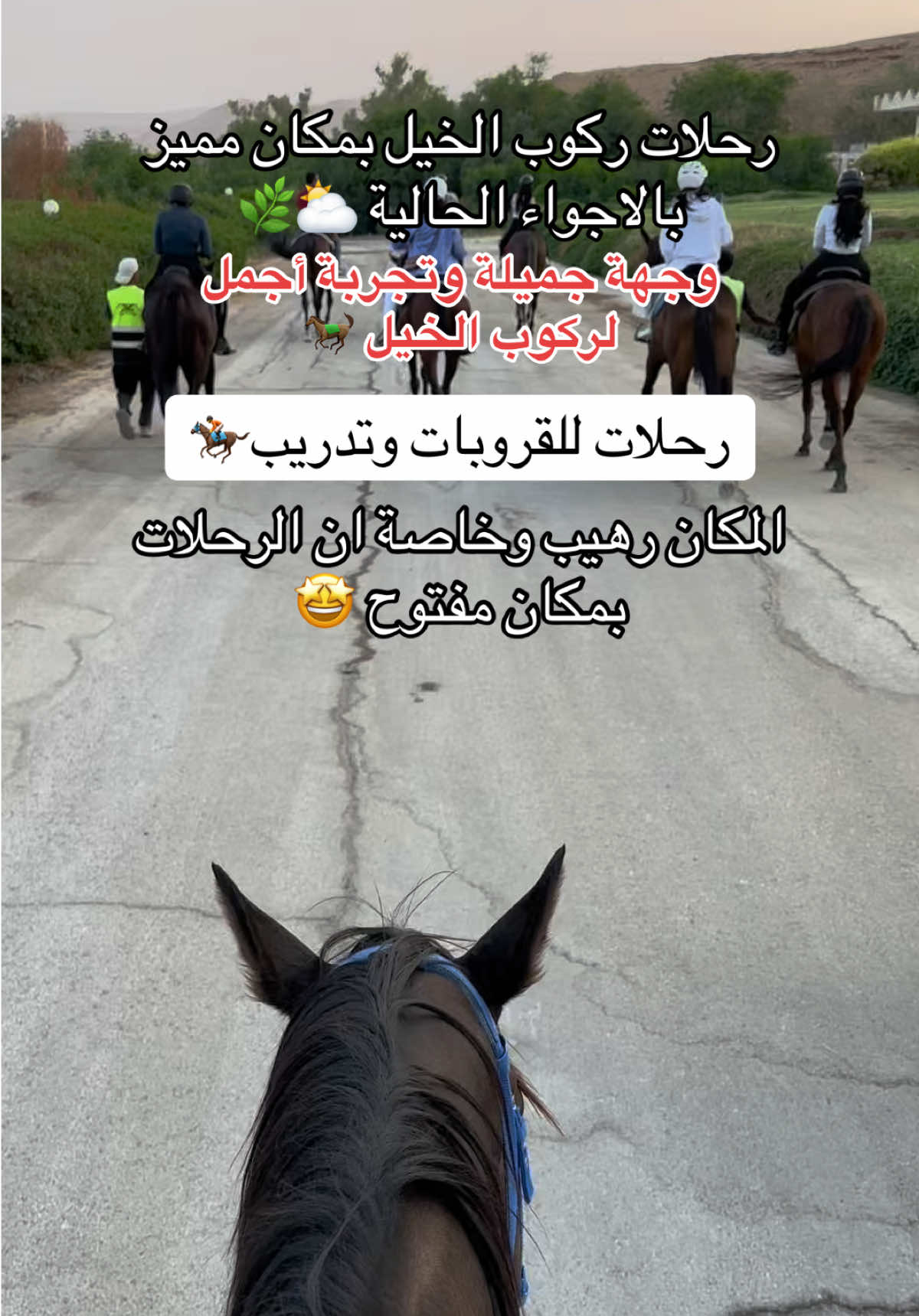 @NR | صدى الرياض