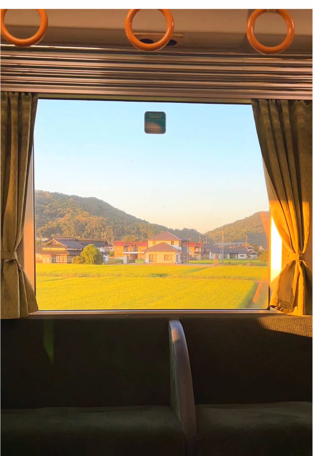 @とらのぽいち