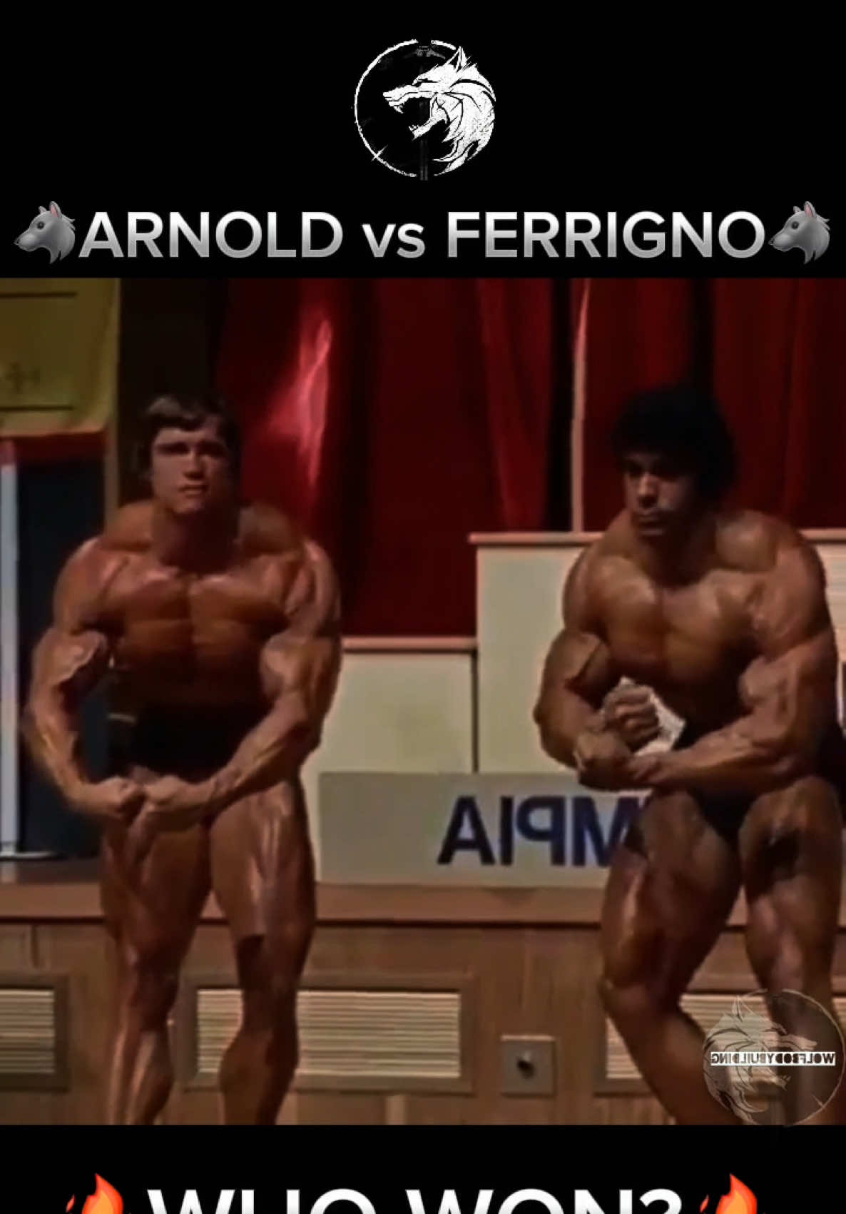 @wolfbodybuilding