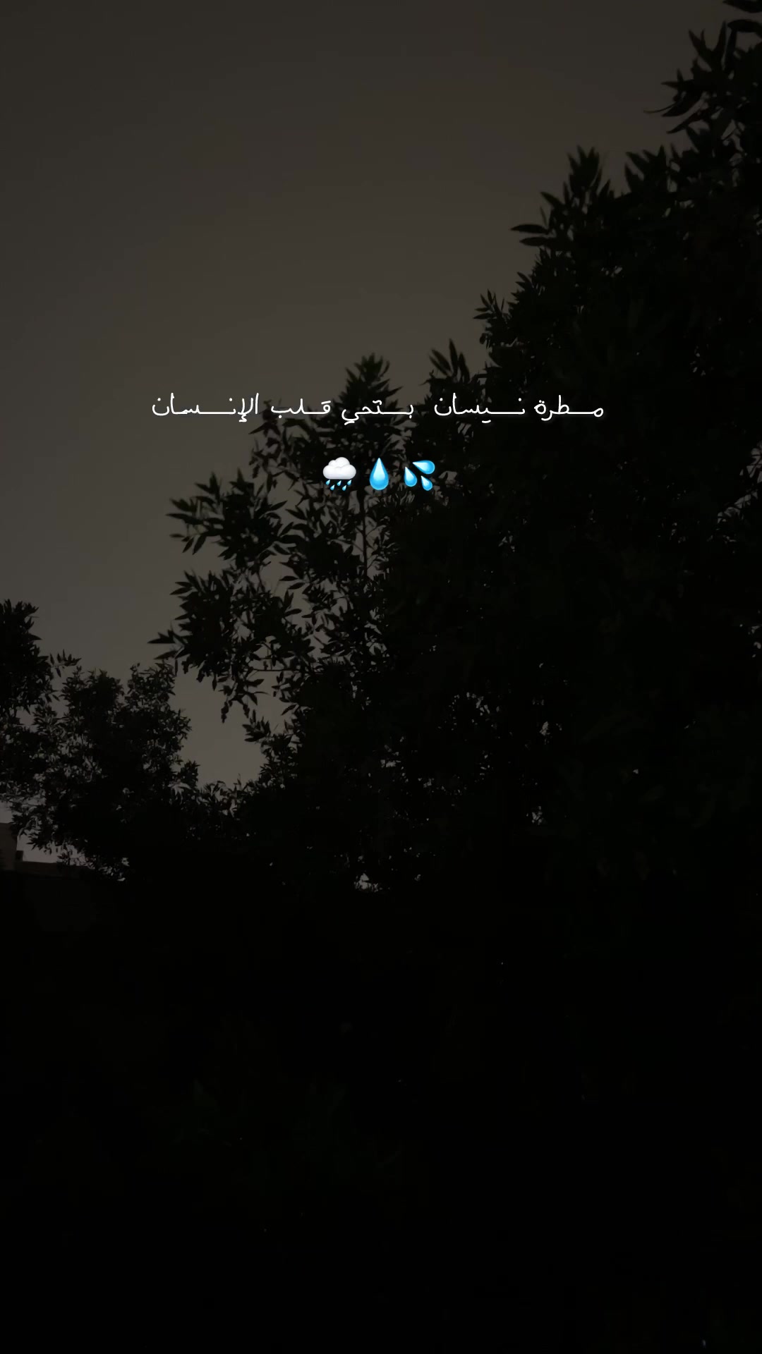 @Mashael ALalwani
