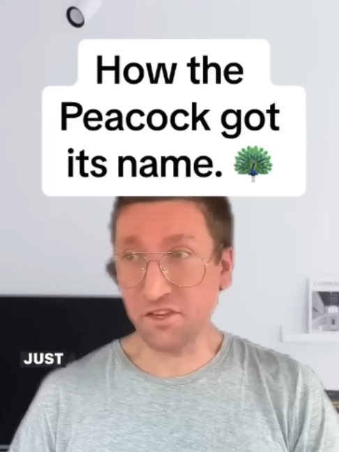 @mrzanderblue