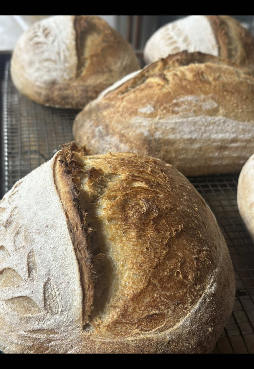@scratchbakers