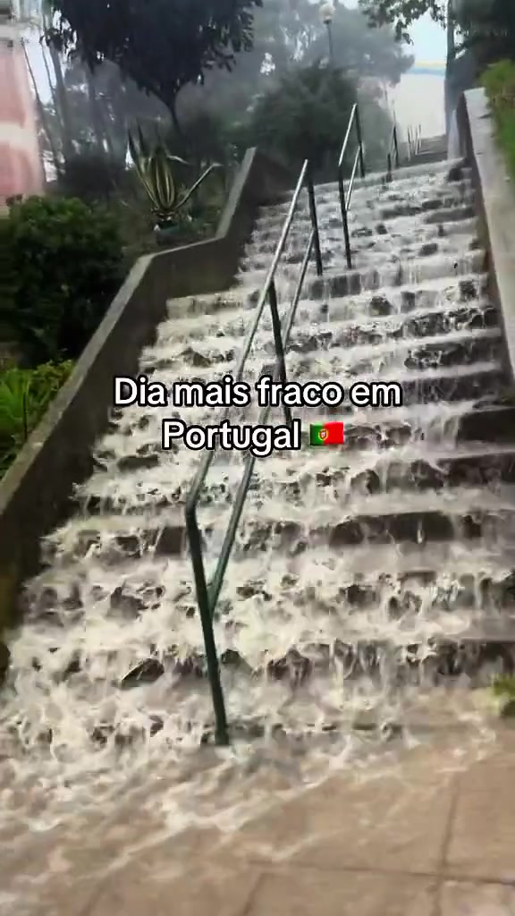 @ਗੈਵੀ ਚੀਮਾ 🇵🇹