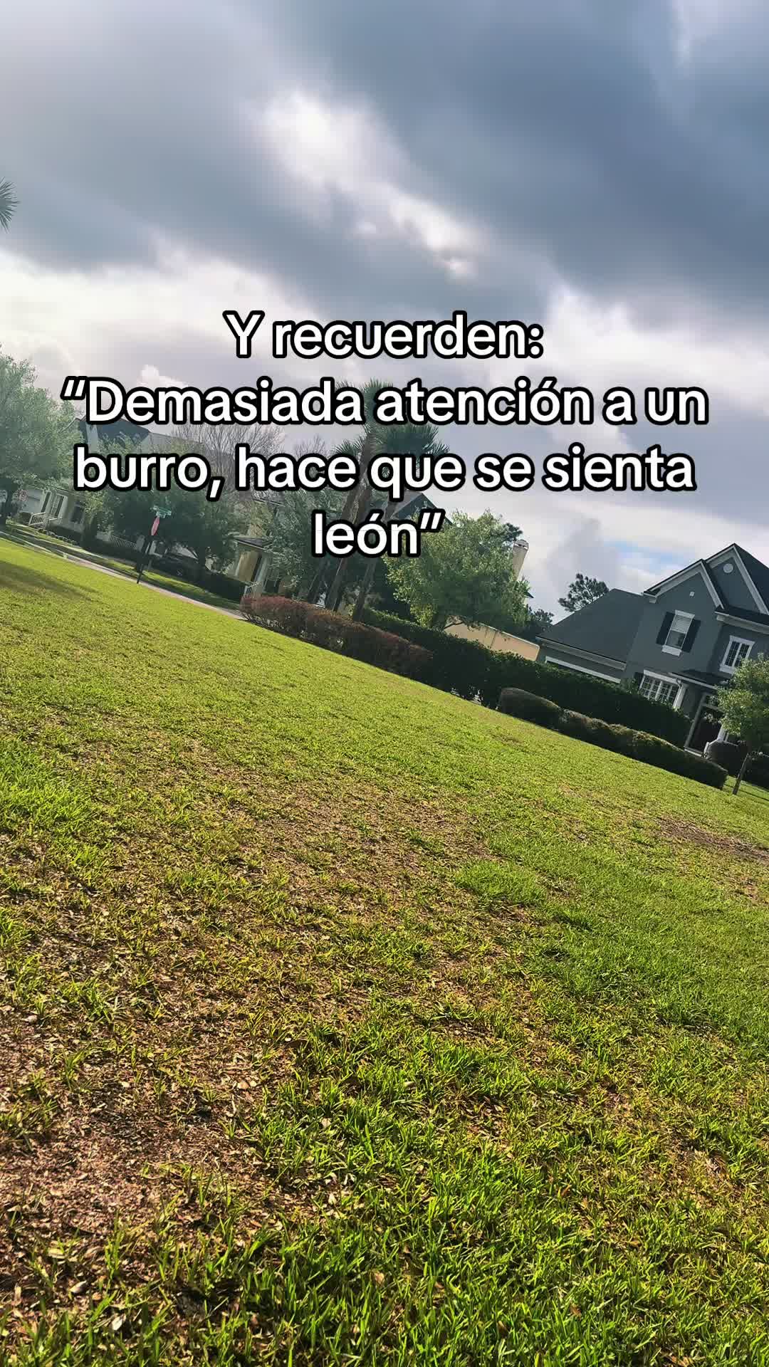 @Nathy 🇵🇪 🇺🇸