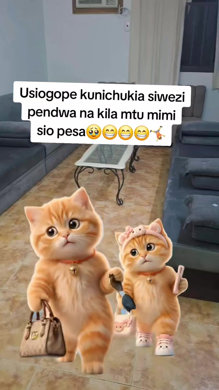 @Estar wa Ngai💙💙💙