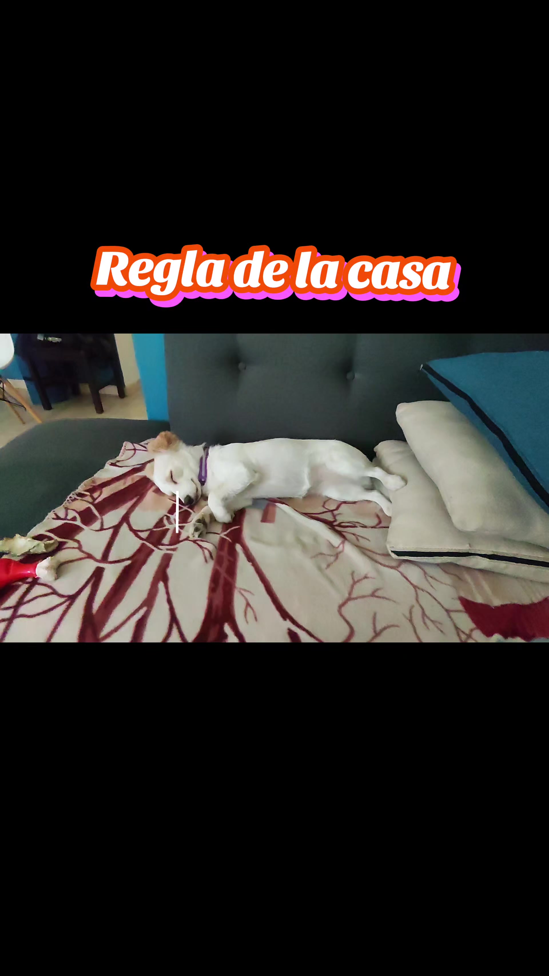 @Victor Hugo Gonzalez