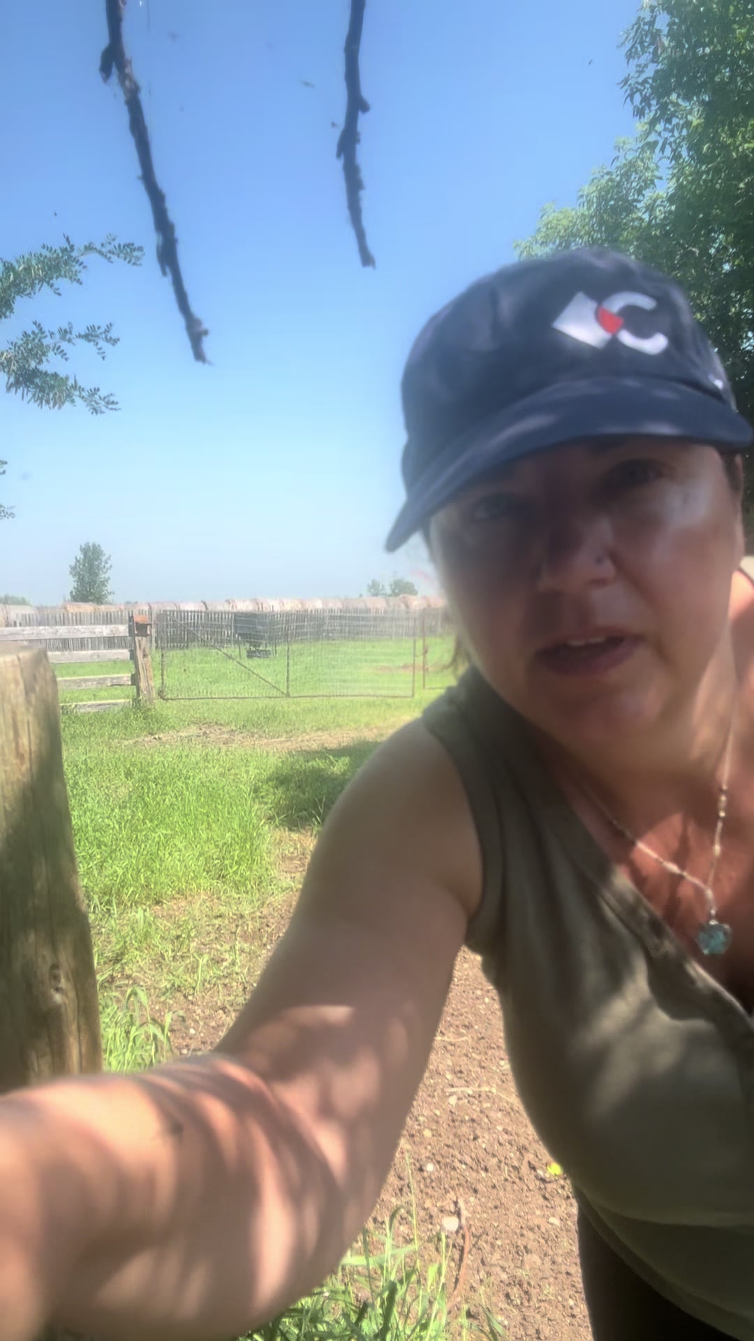 @KMT Farms 🇨🇦