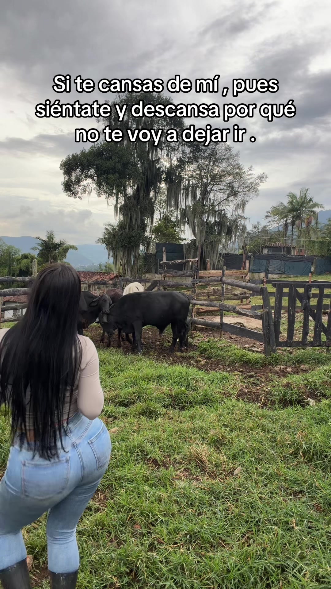 @Elizabeth Lopez