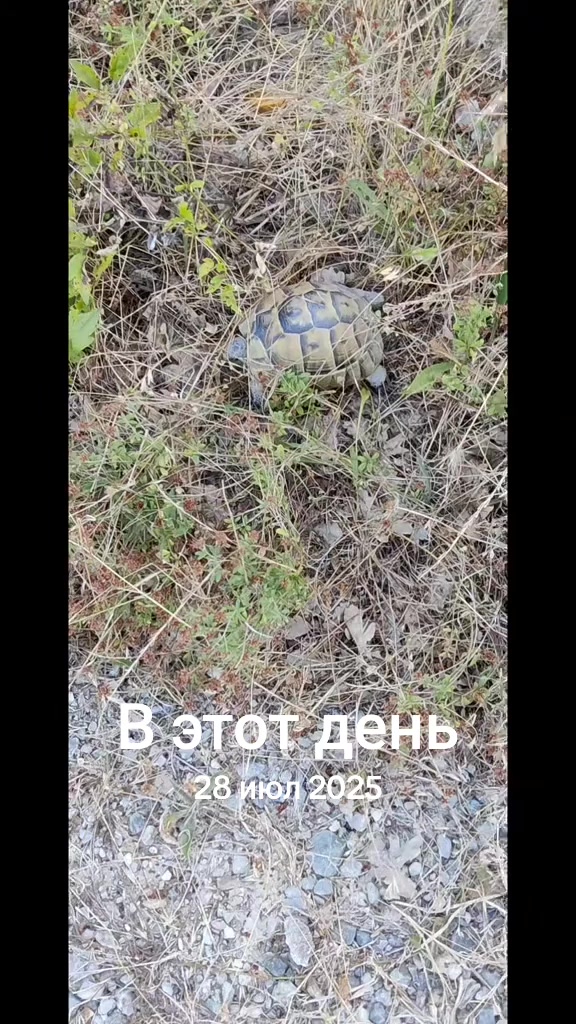 @Алеx 41-23 регион