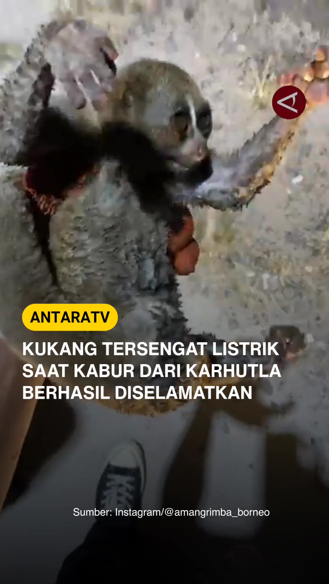 @Antara TV Indonesia