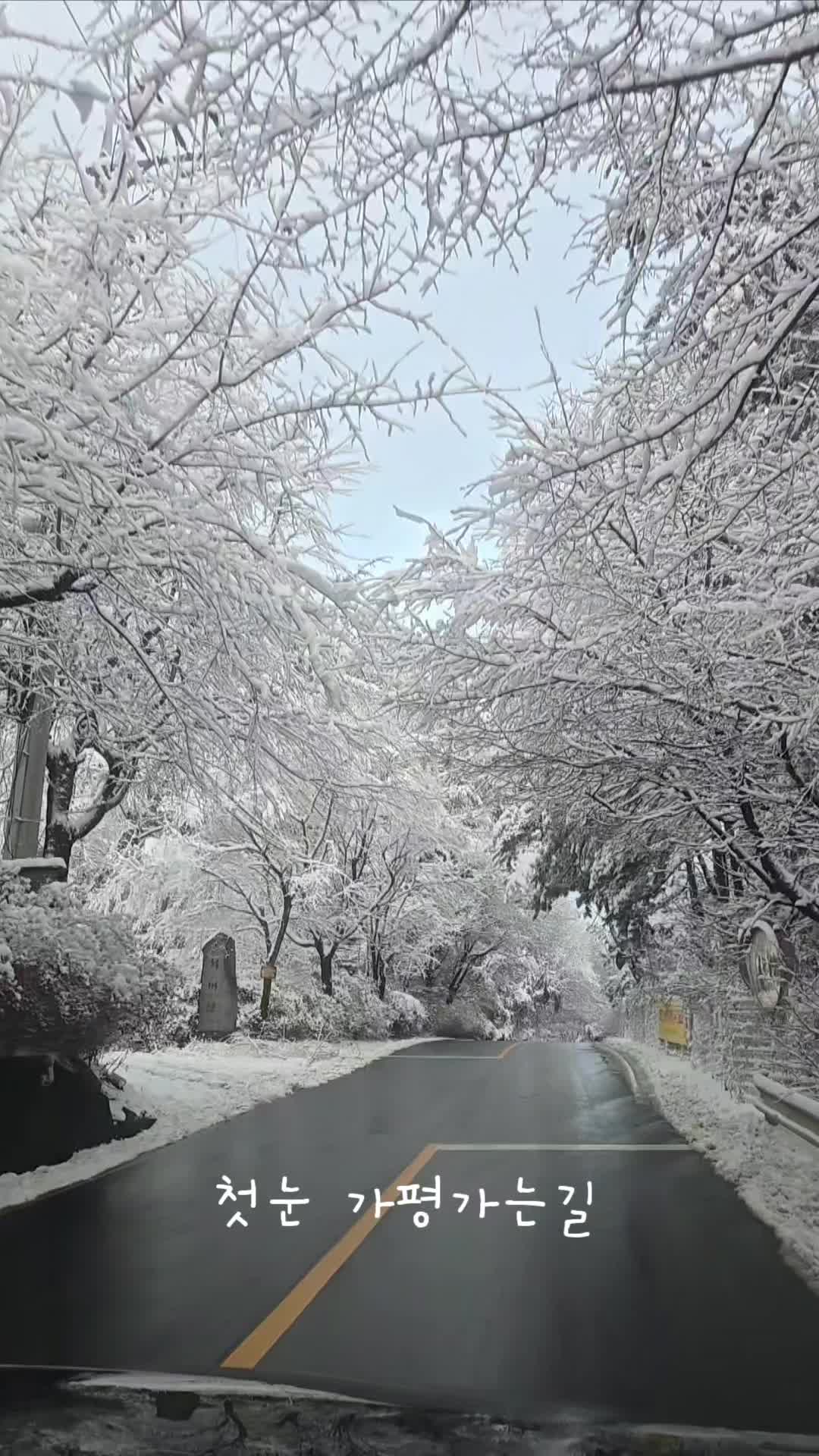 @문욜로