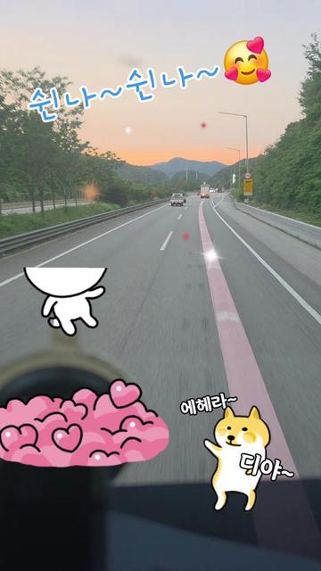 @🌺시라소니[본]🌺