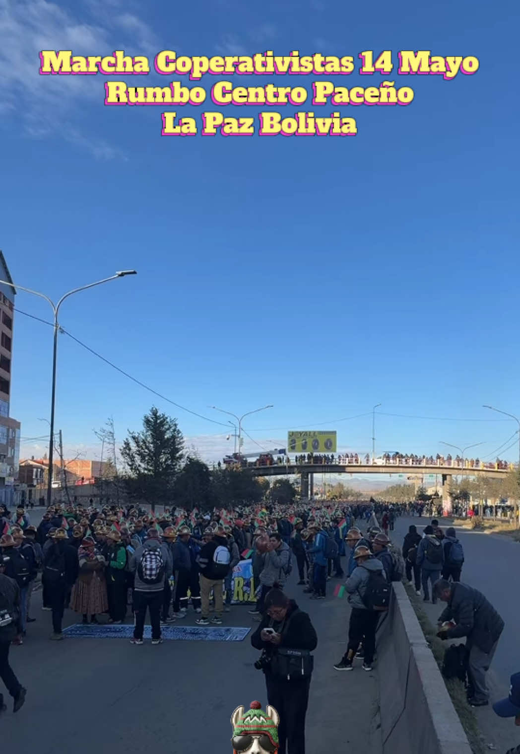 @La llamita Gustosa y Curiosa