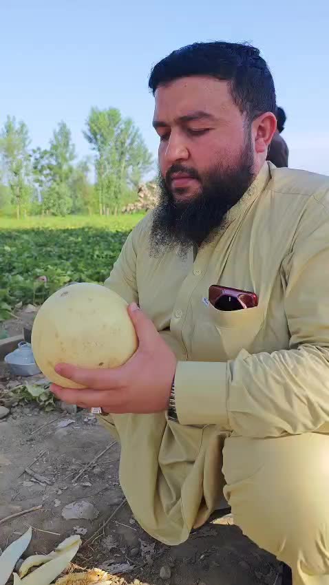 @Stonekhan