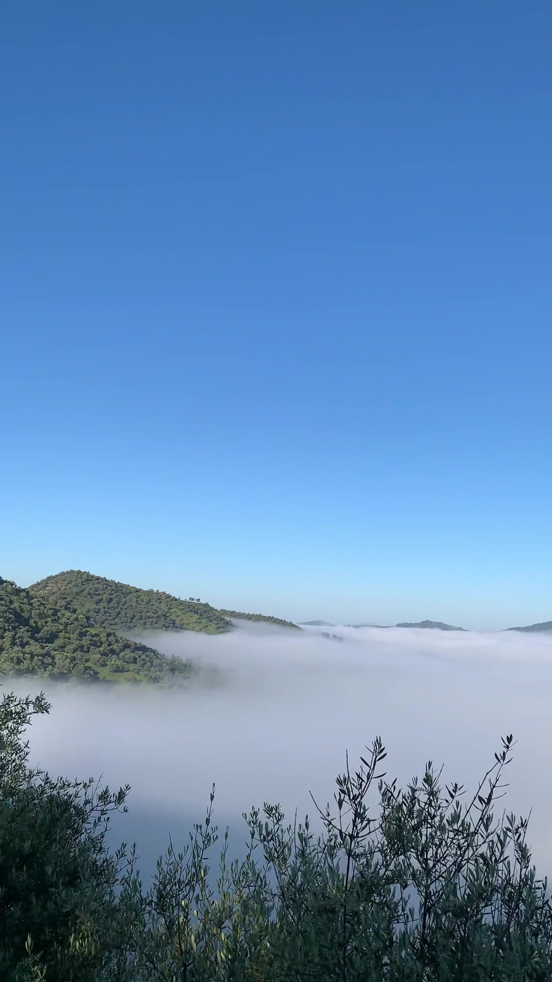 @Abderrahman Benkhaled