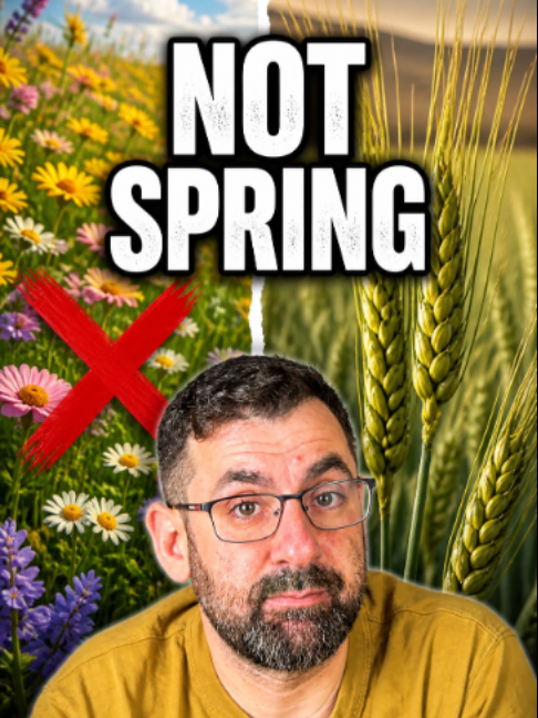 @Elon Gilad