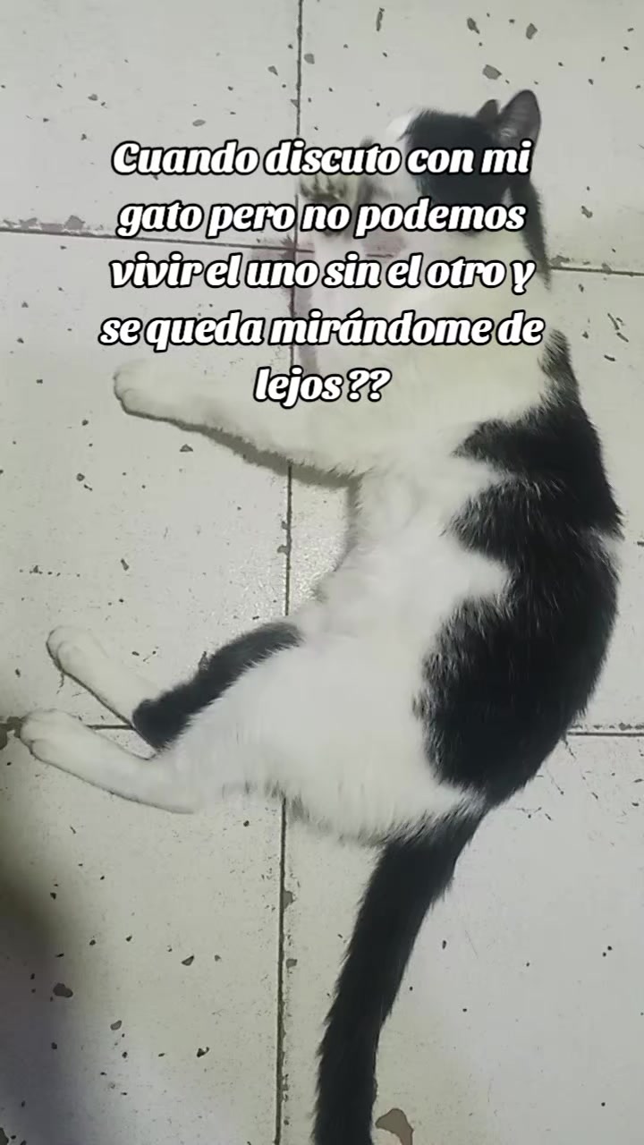 @Liliana Viloria