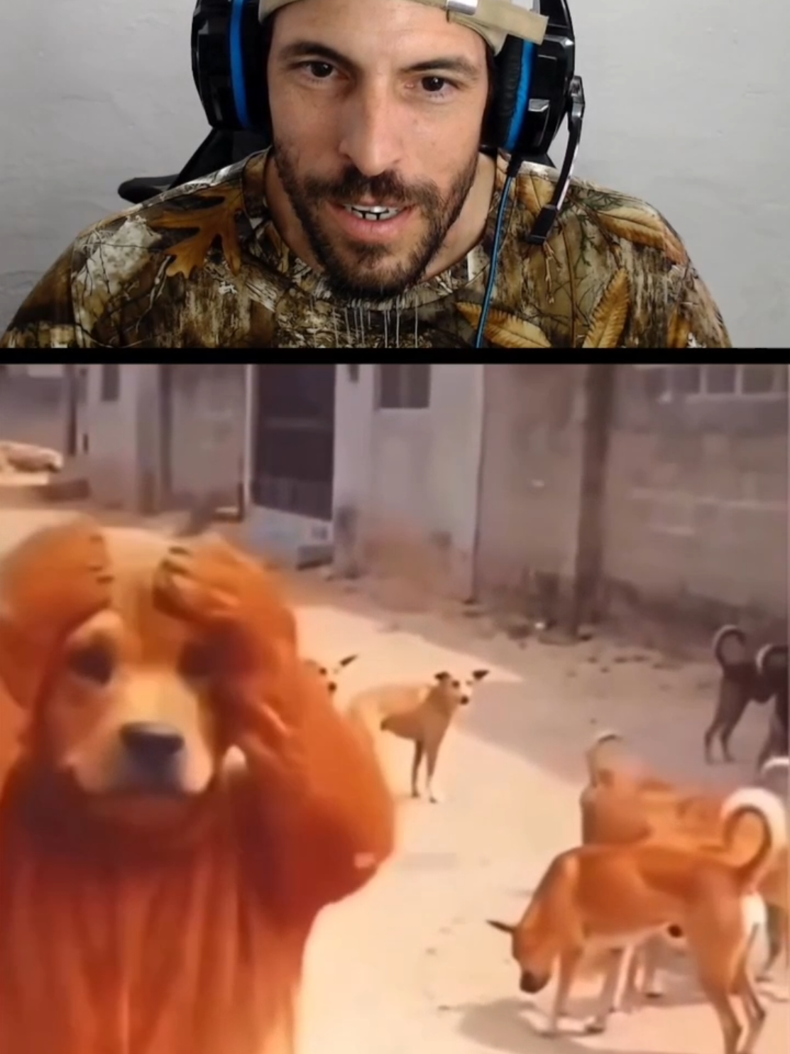 @Dominjul