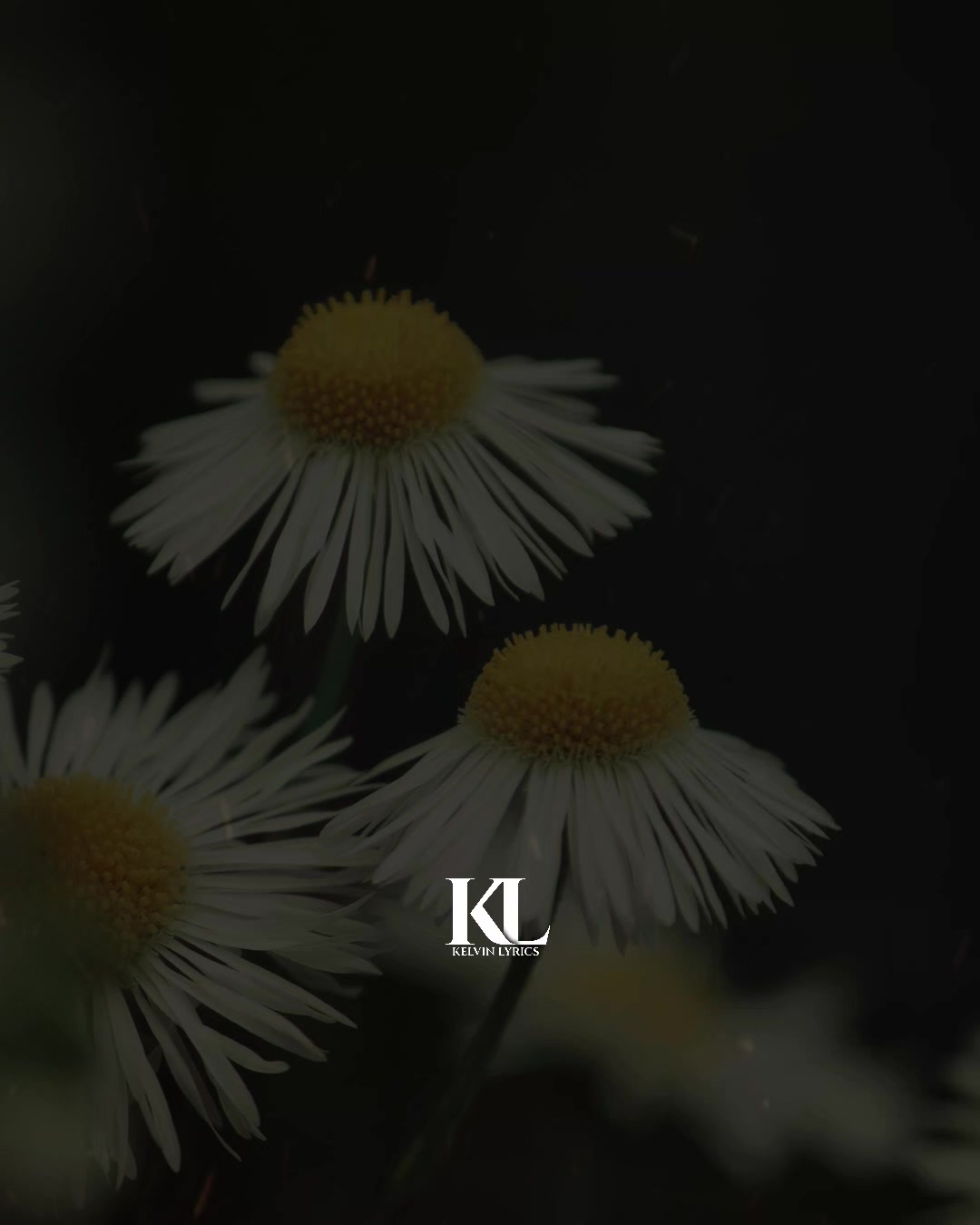 @๐๐๐๐ ๐๐
๐๐๐๐๐๐