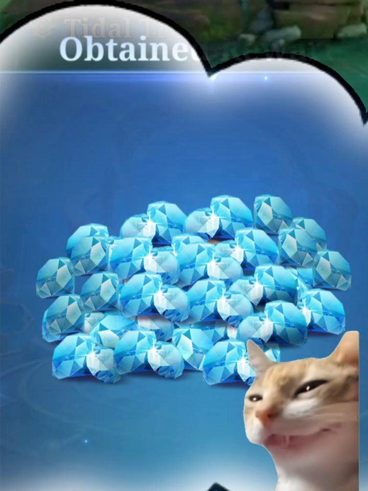 @Mobile Legends