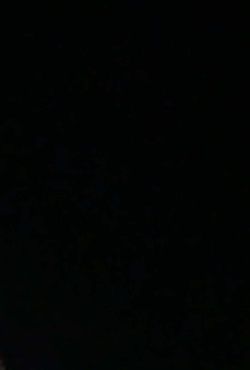 @sofia_spinelli