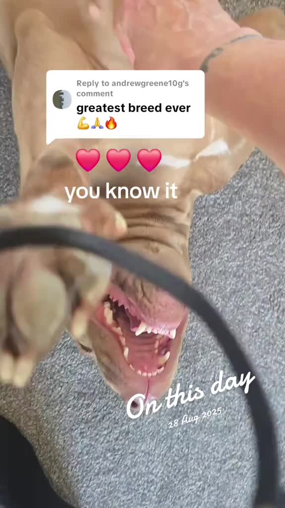 @limp