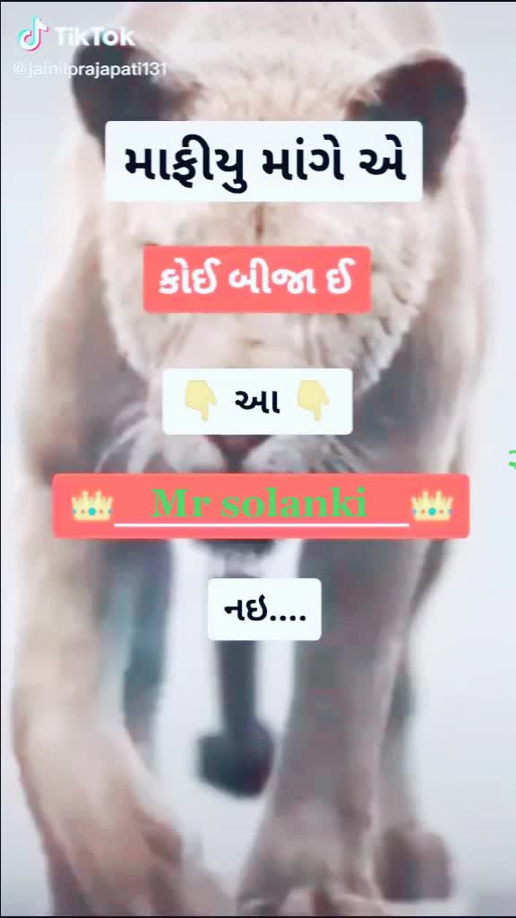 @yogash solanki