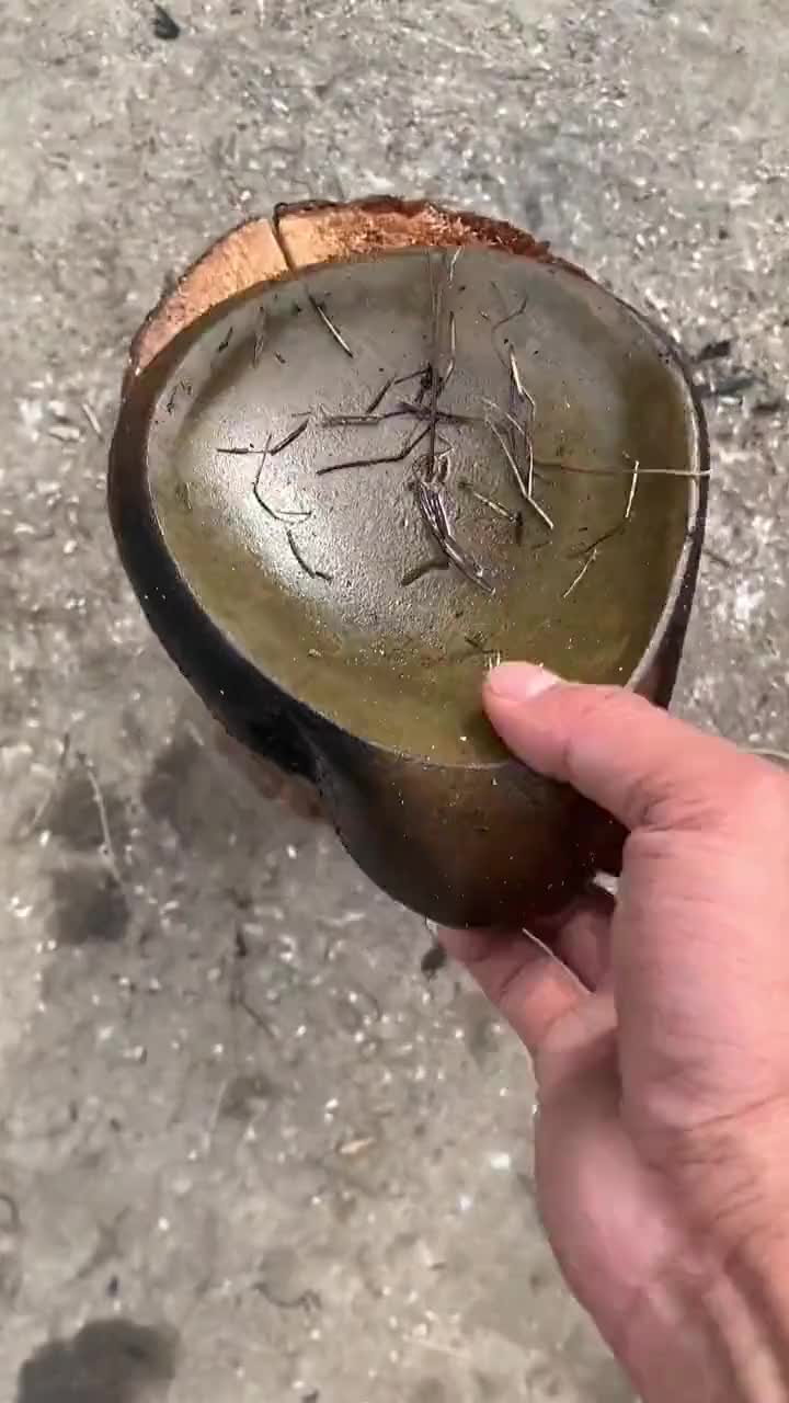 @y3t73y