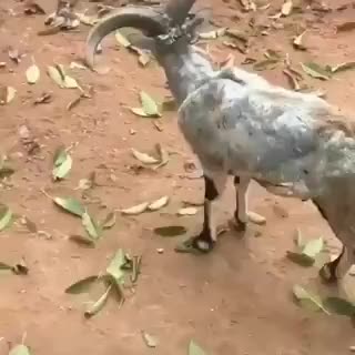 @jakhar1138