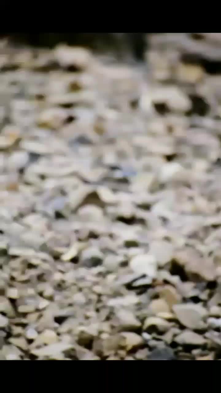 @user45485924527