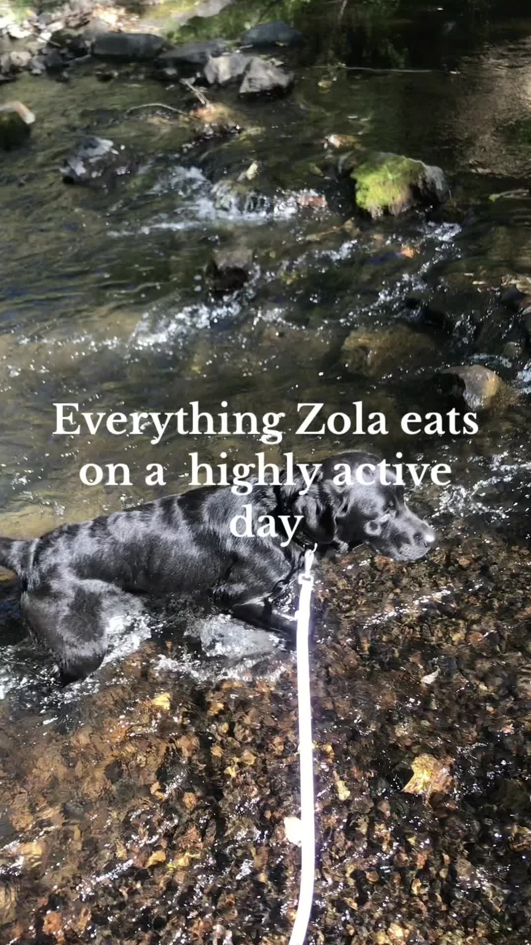 @Zola