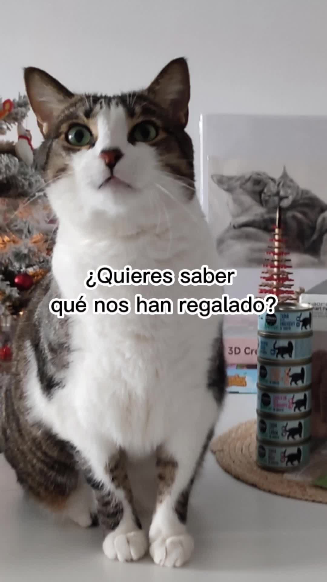 @Cooper, Arya, Aru y Sully 🐾