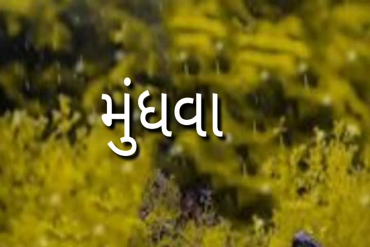 @Shayar Mundhva