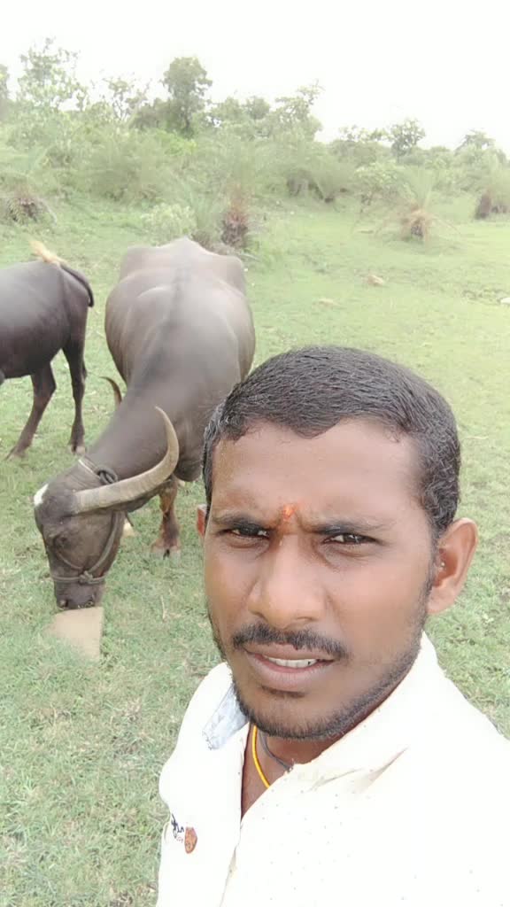 @user2713688918903