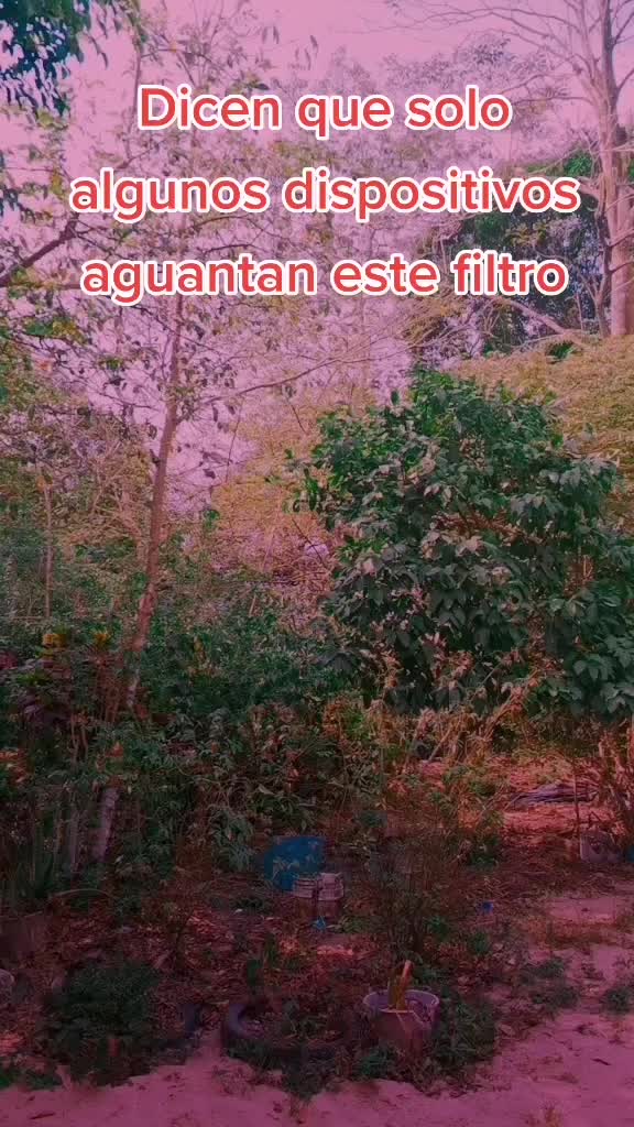 @palomita hernandez98