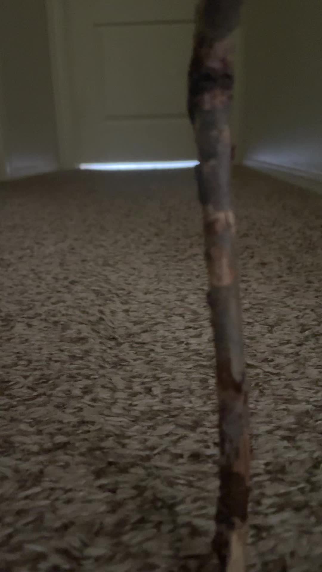@Miserablevids
