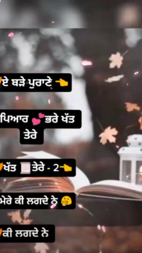 @🌹sai ji De diwane🌹