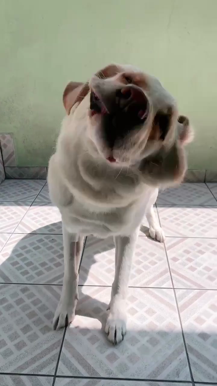 @Lunalinda.lab