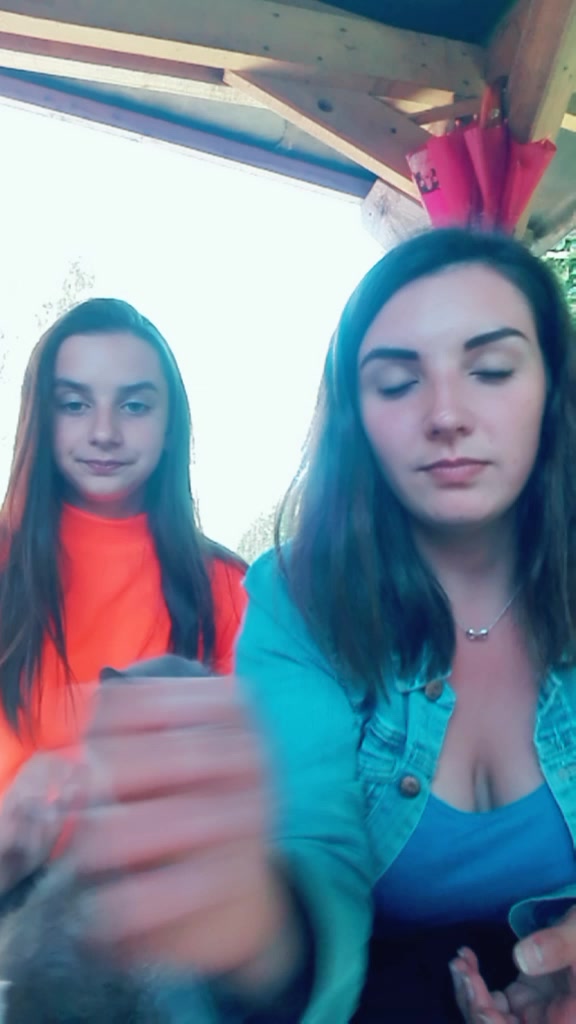 @Anna Rincy