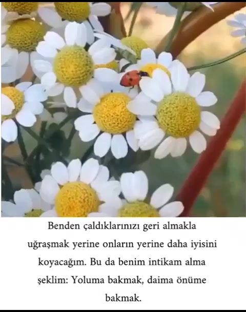 @Esmer esra