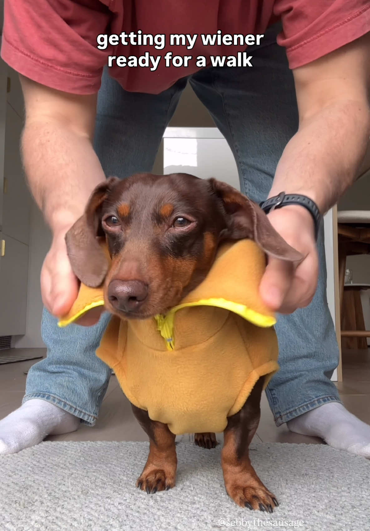 @sebbythesausage
