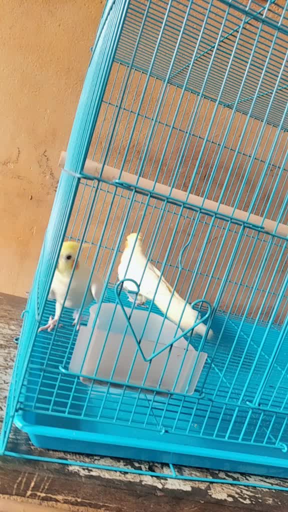 @Pathu S