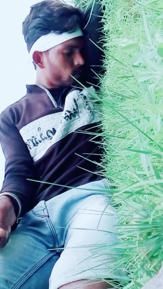 @💠💠Banjara Tigar💠?