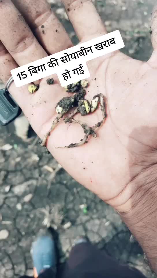 @Rajpandit265