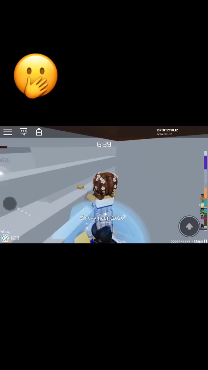 @Aesthetic.roblox✨🤍