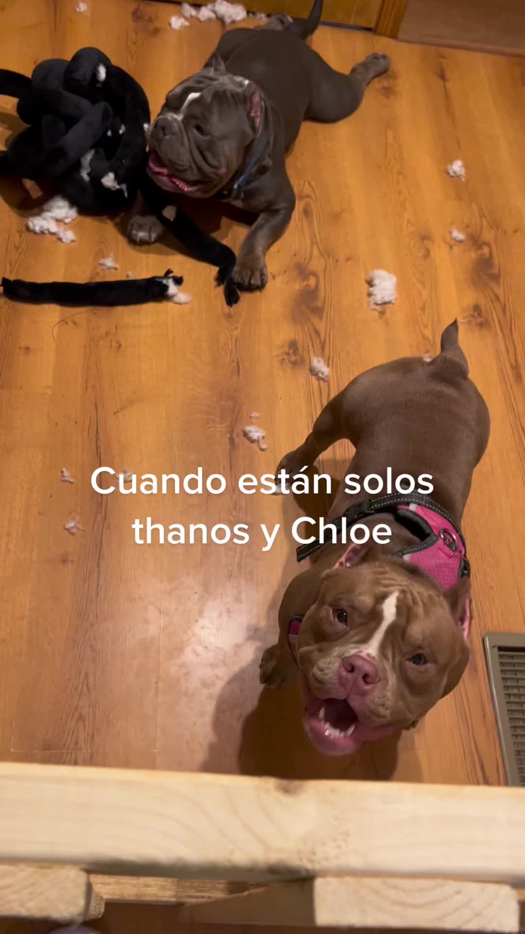 @Ana De La O Morales