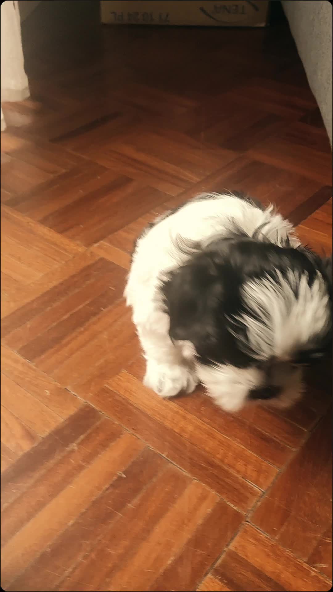 @alex._20096